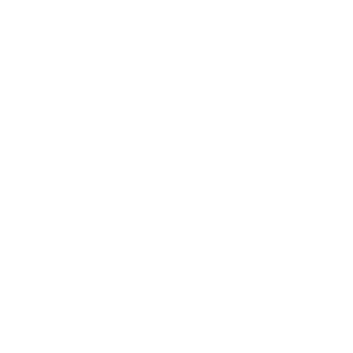 Taylored Boats